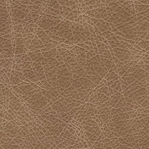Bradney - Tumbleweed - Swivel Accent Chair - Image 6
